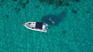 snorkel from a priavte boat trip