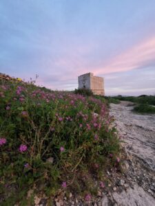 hiking gozo scrambling